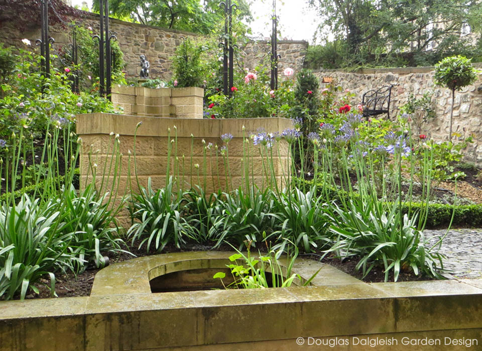 garden with agapanthus and roses